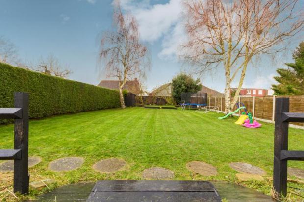 Extensive Garden