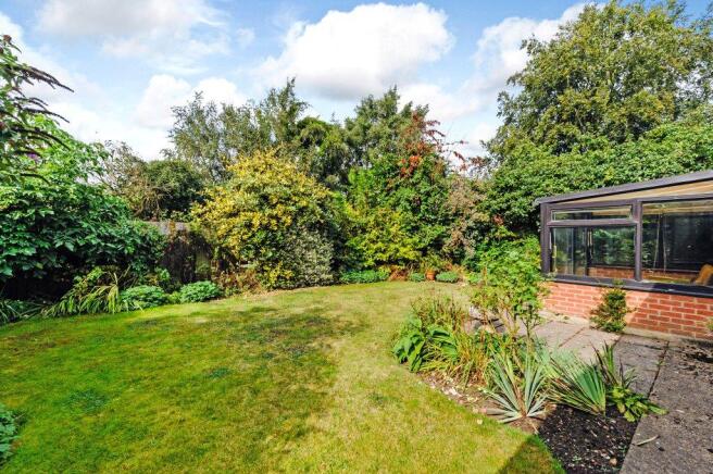 West Facing Garden