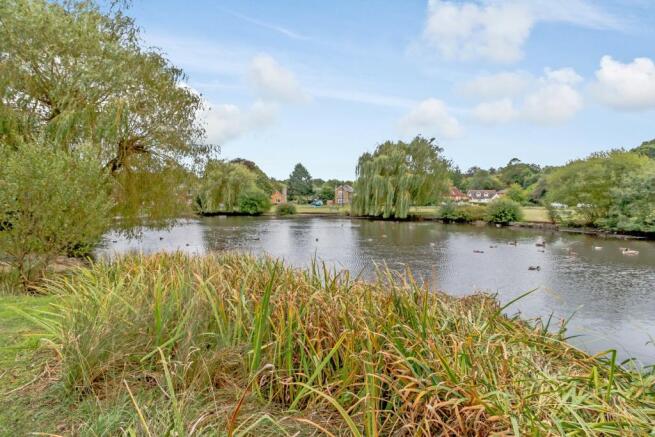 West End duck pond