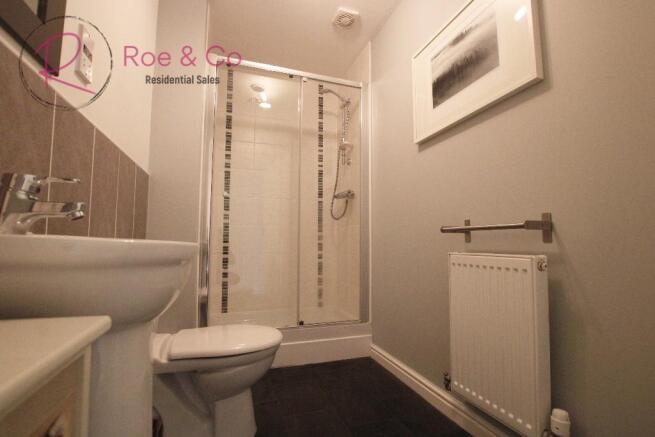 Downstairs Shower 