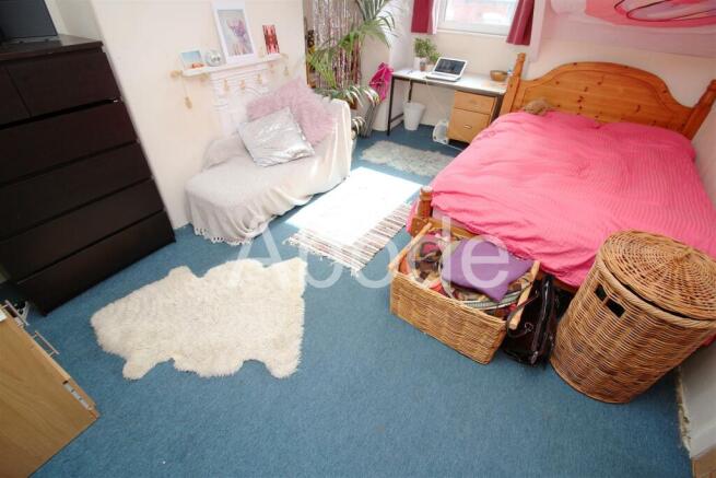 3 bed House to rent Image 7