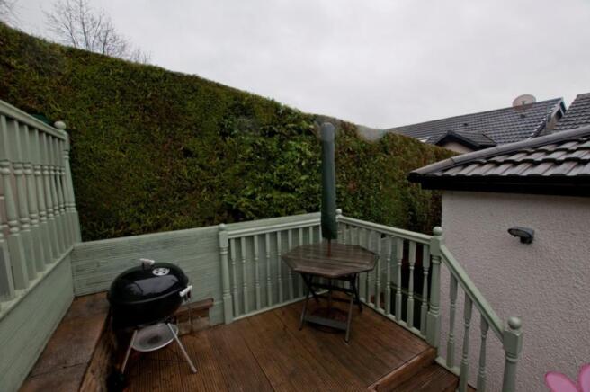Rear garden (3)