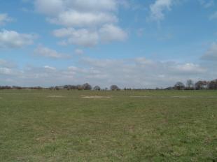 Field