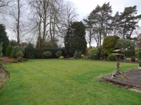 Rear Gardens (1)