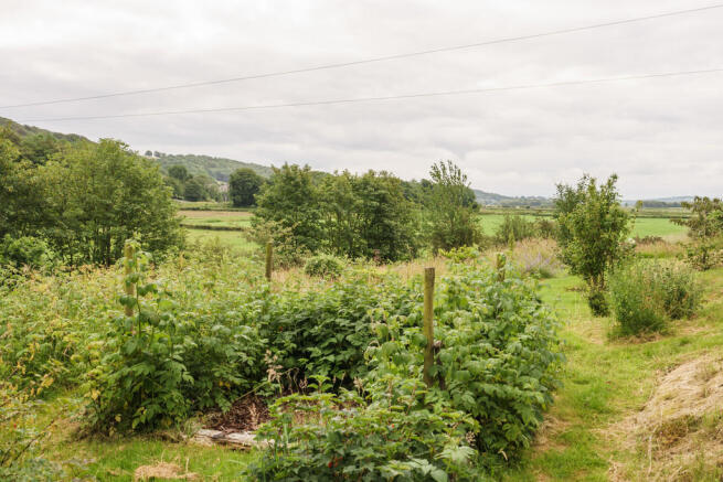 Photo 46
