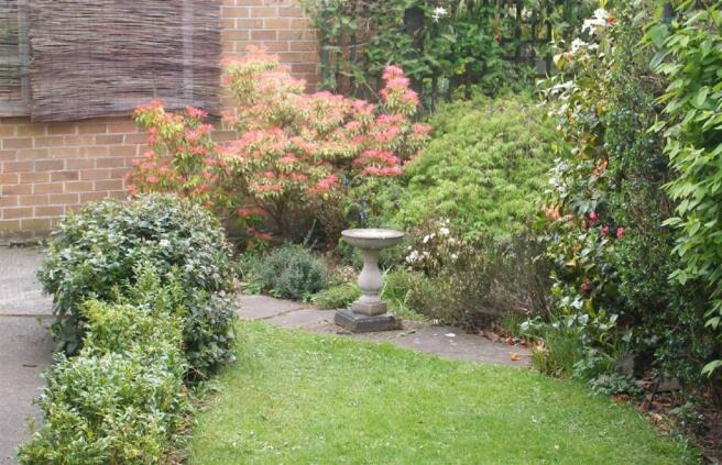 Photo 15
