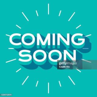 Mansfield Road, Middlesbrough, TS6