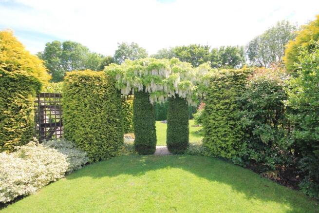 GARDEN PHOTOGRAPHS
