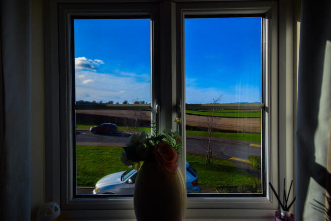 DSC_0738
