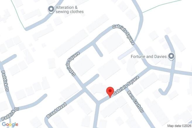 Google Maps Image