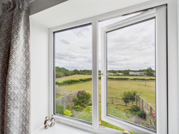 View from Bedroom