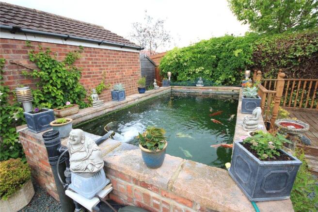 Pond Feature
