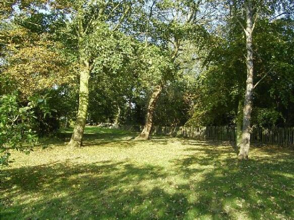 Wooded Area