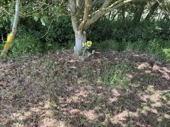 Land Off Summer Road, Walsham-Le-Willows, Bury St. Edmunds, Suffolk, IP31 3AH photo 5