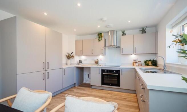 Dandara - The Orchard - The Willow, Home 92