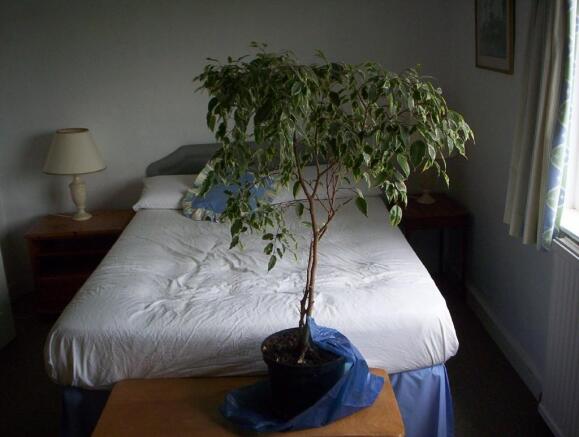 Bedroom aspect 2