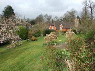 Garden New