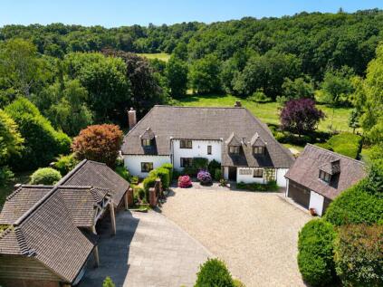 Godshill Wood, Fordingbridge, Hampshire, SP6