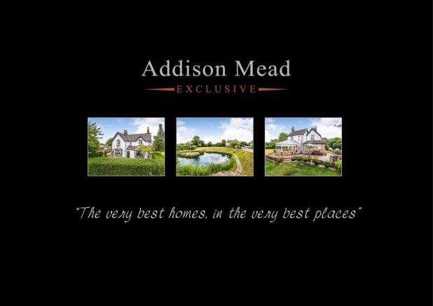 Addison Mead