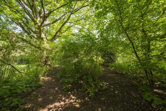 Woodland Area