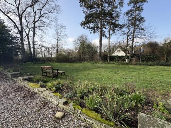 IMG 0513  Medium  T202602251253.jpg