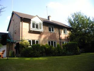 rear view