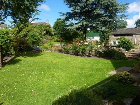 Photo 15
