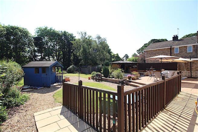Garden at Back
