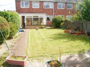 Garden 2