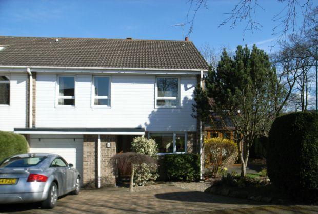 Merlin Close Frontag