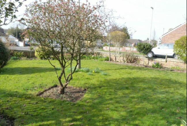 Front Garden