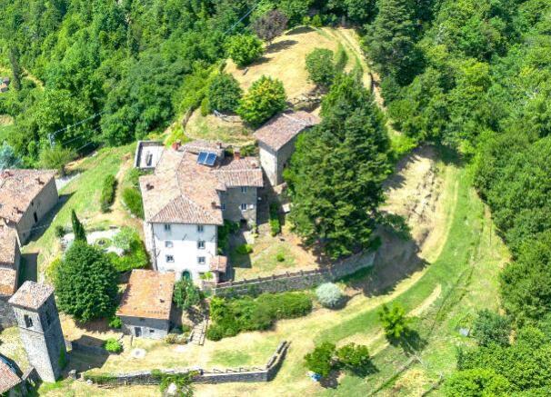 aerial view