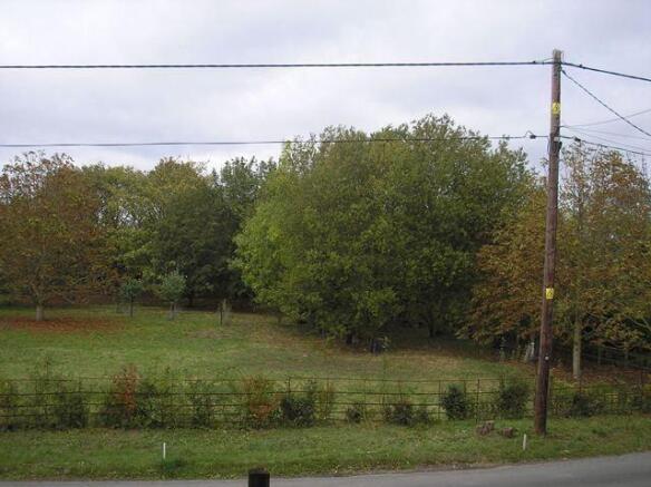 View to Front