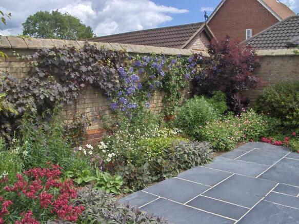 garden shot 6