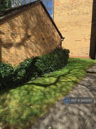 Shared Garden 