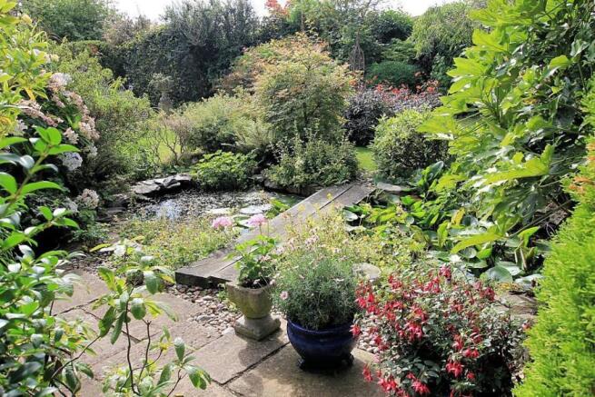 Pond