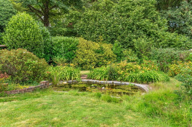 Photo 29