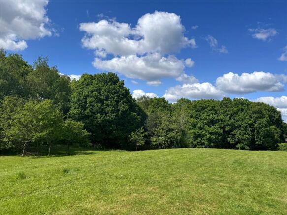 Communal Meadow