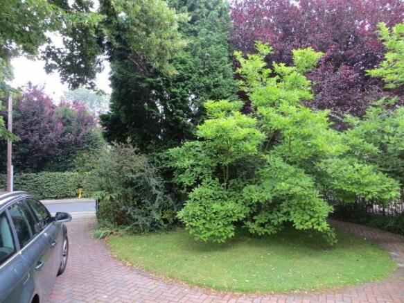 Front Garden