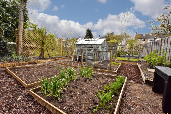 Garden - Veg Patc...