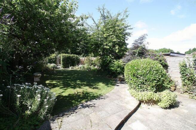 Patio and Garden