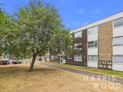 Lethe Grove, Colchester, Essex, CO2