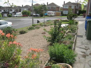 Side Plot