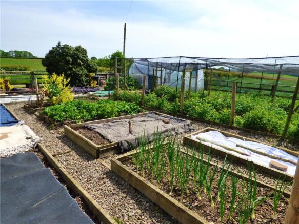 Vegetable Garden