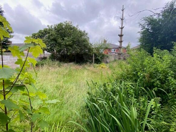 GARDEN T202407291636.jpg