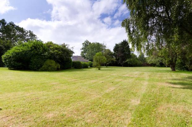 Grounds