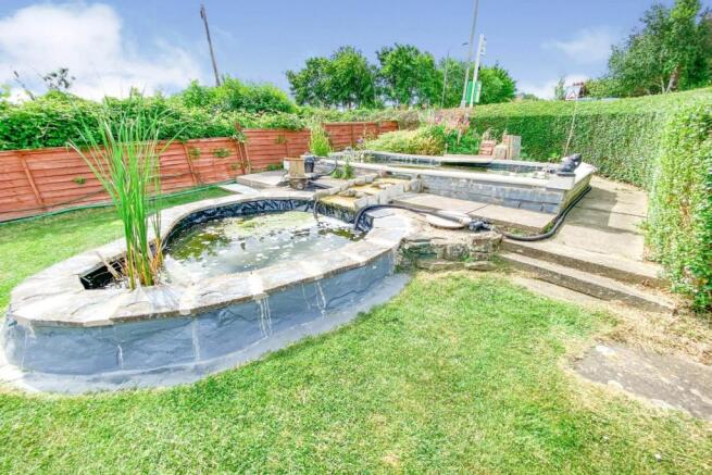 Pond