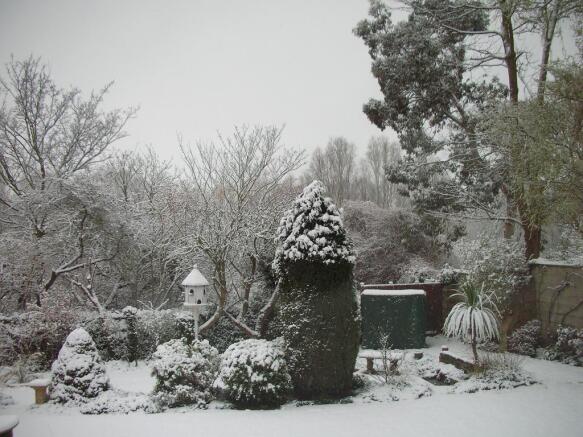 Snow Rear Garden