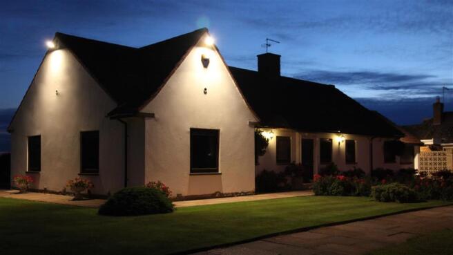 night photo of the