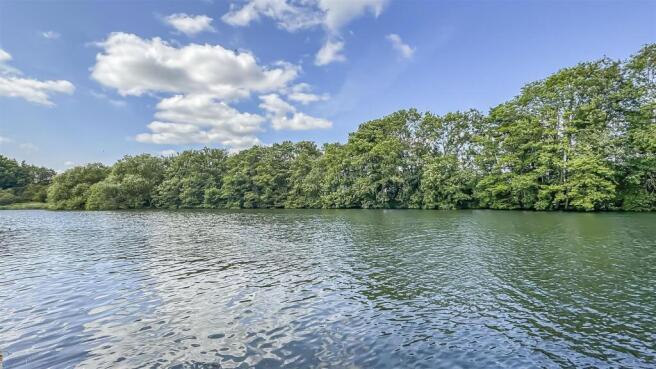 Photo Jun 11 2025, 3 28 03 PM.jpg